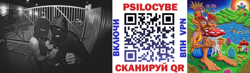 Псилоцибиновые грибы Psilocybe  Купить где  Глазов 