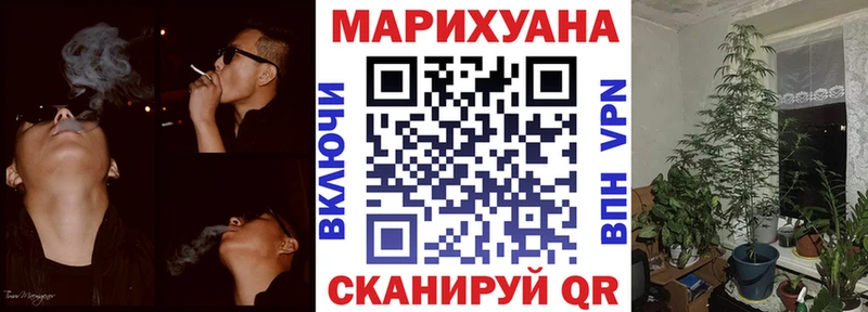 Купить где  Глазов  Бошки марихуана планчик 